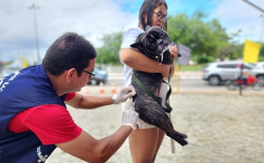 Arapiraca retoma campanha de vacinação antirrábica para cães e gatos neste sábado (27)