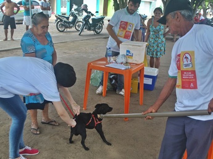 Prefeitura de Arapiraca mantém vacinação antirrábica