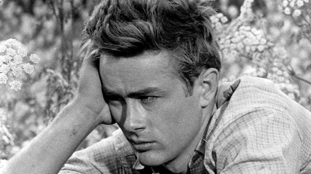 James Dean ganhará cinebiografia baseada em livro de memórias sobre seu romance gay