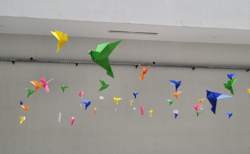 Origamis representam luta antimanicomial em Maceió