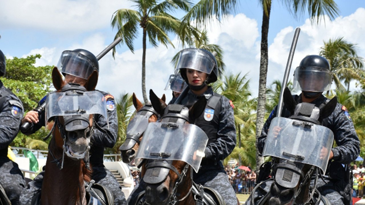 Segurança Pública conta com o auxílio dos animais para salvar e proteger vidas em Alagoas