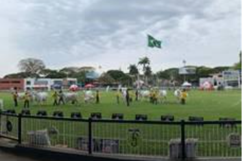 Expoinel 2025 acontece de 13 a 19 de outubro, em Uberaba (MG)