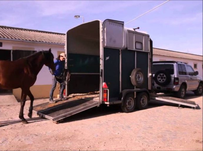 ALE aprova projeto que institui o Passaporte Equestre para o transporte de animais em Alagoas