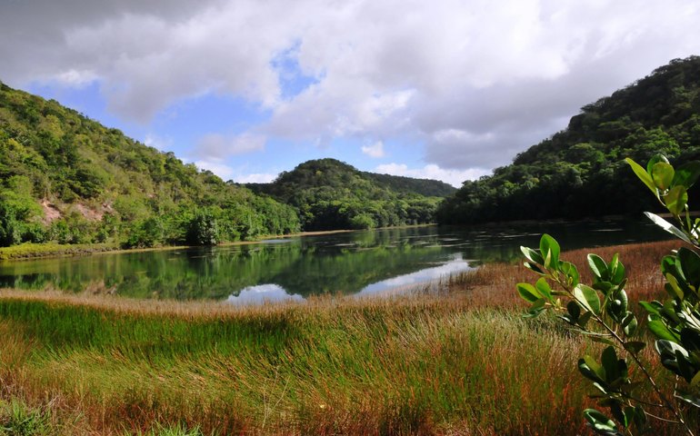 Conheça a APA Catolé e Fernão Velho: um oásis de Mata Atlântica em meio à Região Metropolitana de Maceió