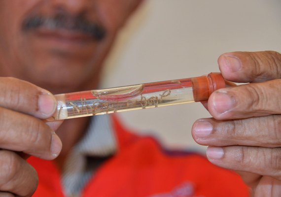 Saúde volta a alerta alagoanos sobre medidas de prevenção contra a dengue