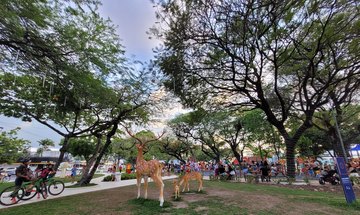 Praça do Centenário totalmente revitalizada