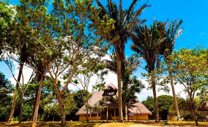 Parque Memorial Quilombo dos Palmares, localizado na Serra da Barriga