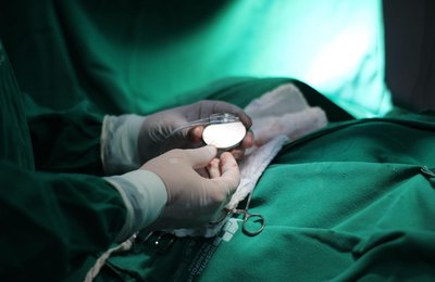 Rede Hospitalar Pública de AL retoma as cirurgias cardiovasculares