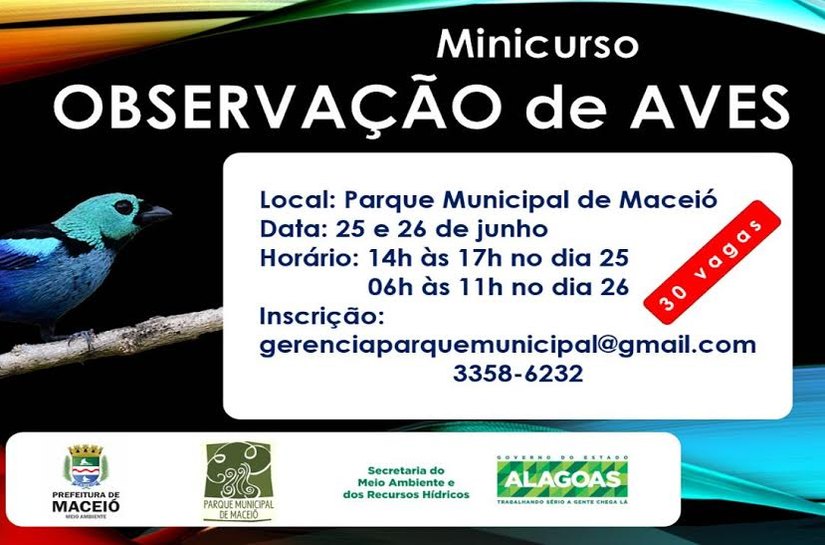 Parque Municipal de Maceió oferece curso de observação de aves