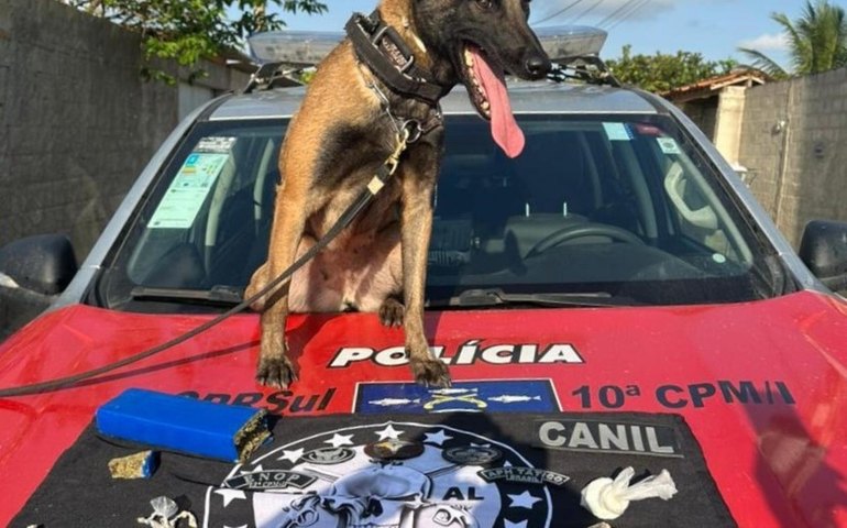 Polícia Militar cumpre mandado judicial e efetua prisões por tráfico de drogas no Litoral Sul