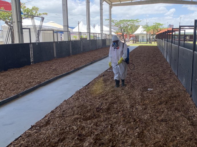 Equipe técnica da Adeal supervisiona desinfecção do Parque da Pecuária