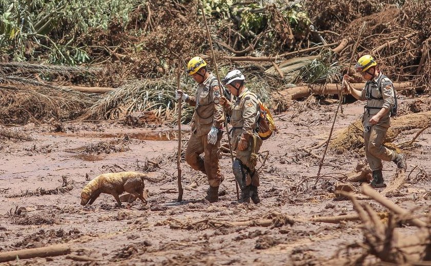 Bombeiros, cães farejadores e aeronaves: veja quais Estados enviaram ajuda ao Rio Grande do Sul