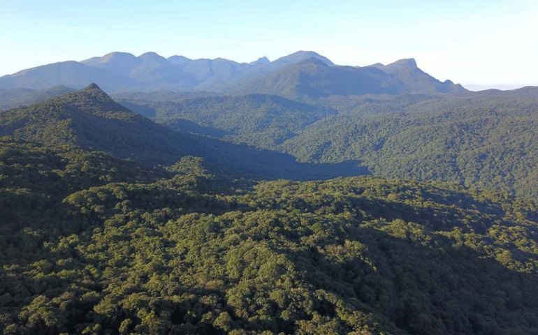 Seminário debate cenário ambiental nos estados brasileiros