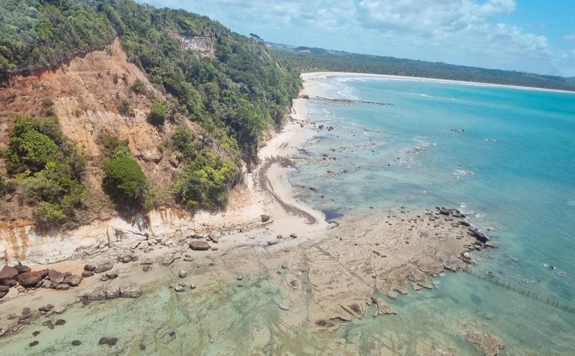 IMA não detecta mais presença de Maré Vermelha entre Maceió e Barra de Camaragibe