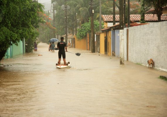 Chuva no litoral: Sobreviventes buscam informações de famílias desaparecidas