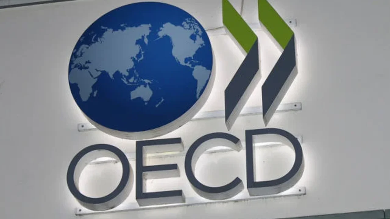 Um terço dos países-membros da OCDE registraram níveis recordes de imigração em 2023
