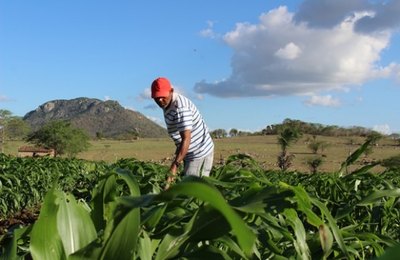  Governo e Embrapa apresentam projeto de instalação de unidade em Alagoas