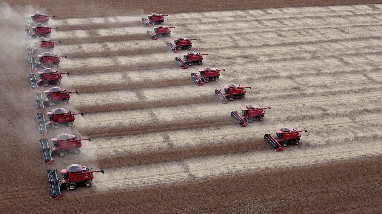 Analista: erradicar a fome exige lógica que não seja a de celeiro que 'entope mundo de soja e carne'