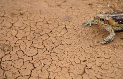 Decretos de emergência crescem 68,5% e causam prejuízo de R$ 62,5 bilhões