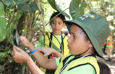 Participantes do Botânico Mirim participam de coleta de material no Cetas