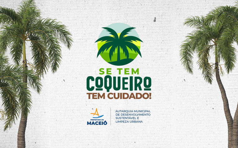 Prefeitura lança projeto de cuidado com coqueiros no Pontal da Barra