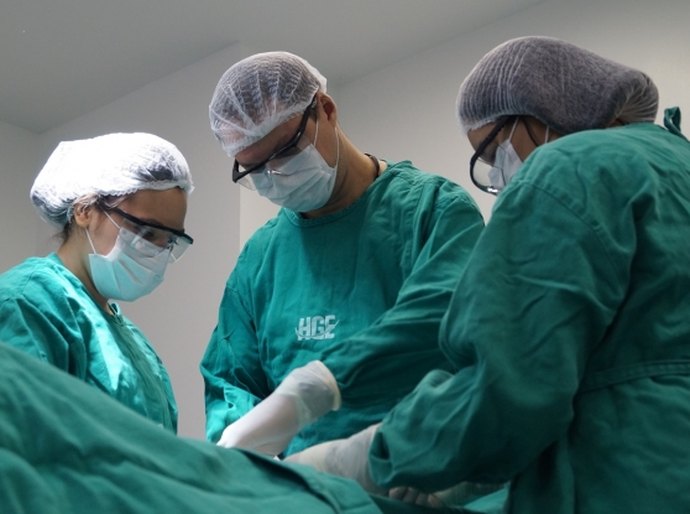 Uso correto dos EPIs protege profissionais da saúde e pacientes
