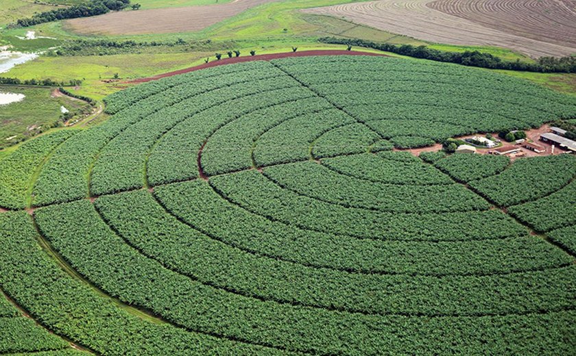 Brasil negocia aumento da importação de potássio da Jordânia