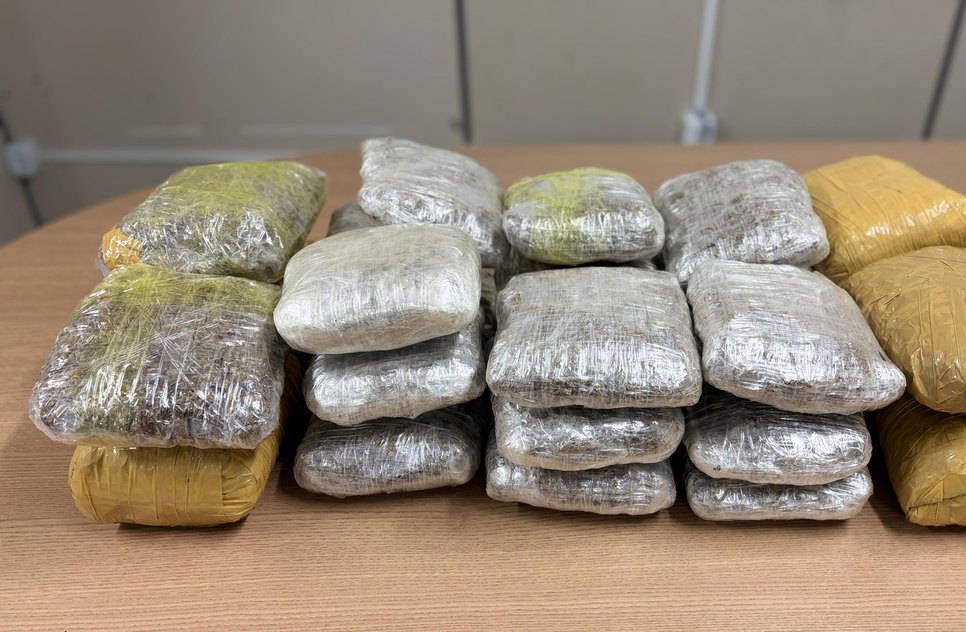 Apreensão de drogas  / Foto: SSP