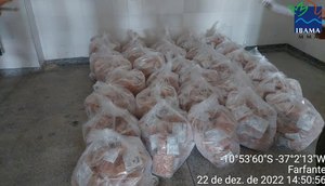 Operação apreende cerca de 470 kg de camarão durante período de defeso em Sergipe