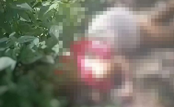 Peritos da Polícia Científica informaram aos policiais militares que provavelmente a vítima foi assassinada na própria mata