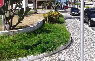 Desenvolvimento Sustentável realizou limpeza em mais de 60 praças da capital