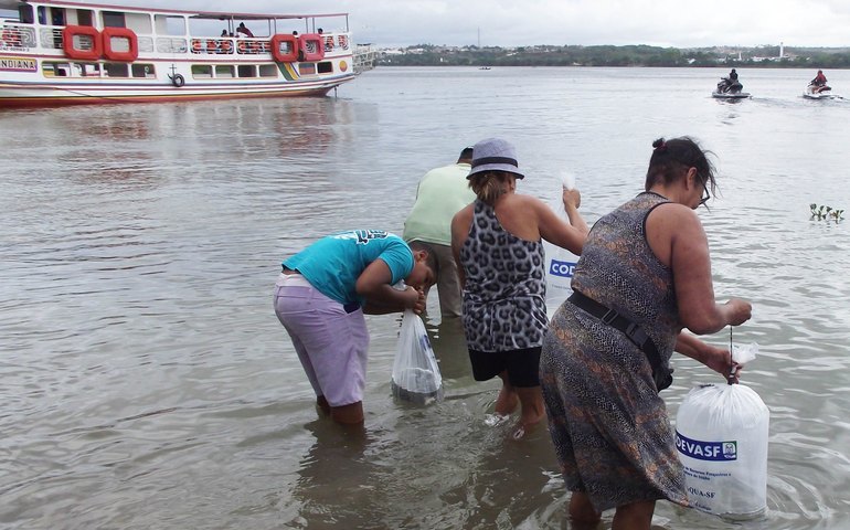 Peixamento da Codevasf integra programação da 135ª Festa de Bom Jesus de Penedo (AL)