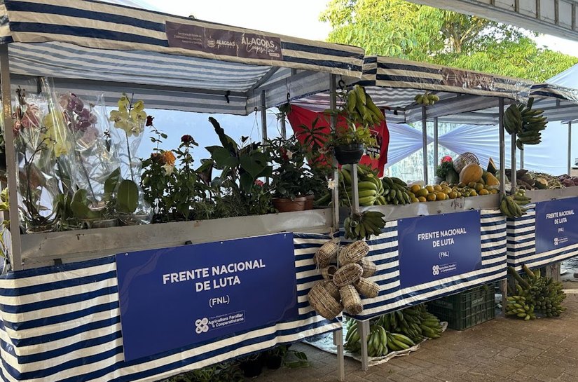 Sedics consolida avanços e fortalece o desenvolvimento econômico de Alagoas em 2025