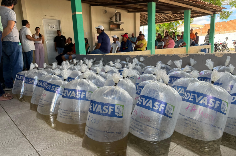 Criação de peixe em tanques escavados gera emprego e renda para agricultores penedenses