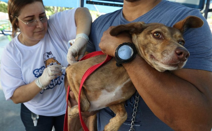 Sesau encerra vacinação antirrábica em Alagoas no dia 6