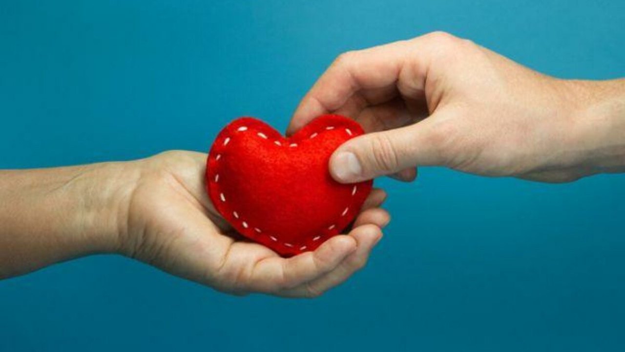 Transplante: número de doadores no país é recorde, mas recusa de familiares ainda é desafio para ministério