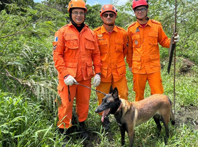 Corpo de Bombeiros atuou em 70 ocorrências envolvendo pessoas desaparecidas em 2026