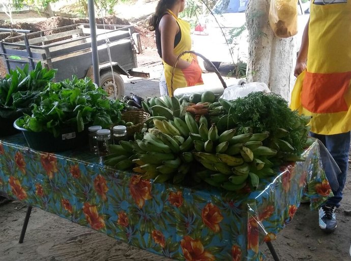 Feira Orgânica da Semarh chega a sua nona edição nesta terça-feira, dia 4