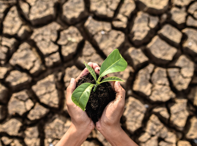Conservação do solo e sua importância para preservar a vida no planeta