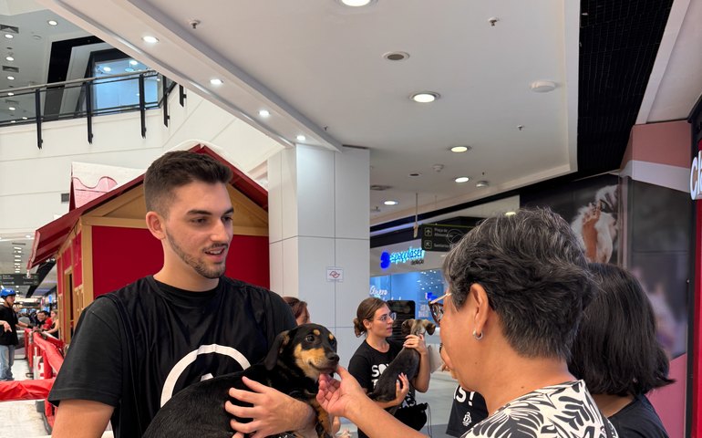 Animais resgatados ganham novos lares em evento de adoção em Maceió