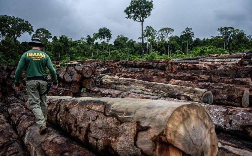 Deputados ruralistas e ambientalistas criticam vetos de Bolsonaro a lei ambiental