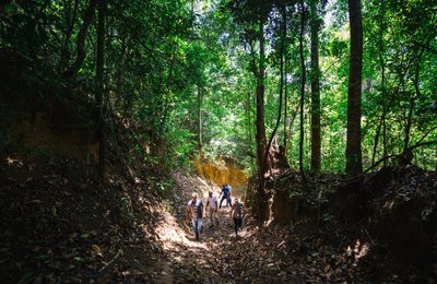 Trilha pela Mata Atlântica em Fernão Velho é reativada após ações de limpeza e iluminação