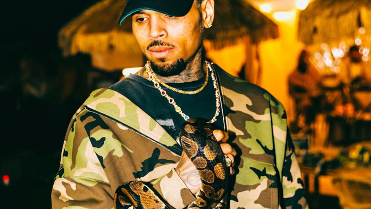 Chris Brown é condenado a pagar R$ 67 milhões após ataque de cão a funcionária e admite negligência