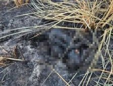 WhatsApp Image 2026 03 09 at 18.24.56 300x201