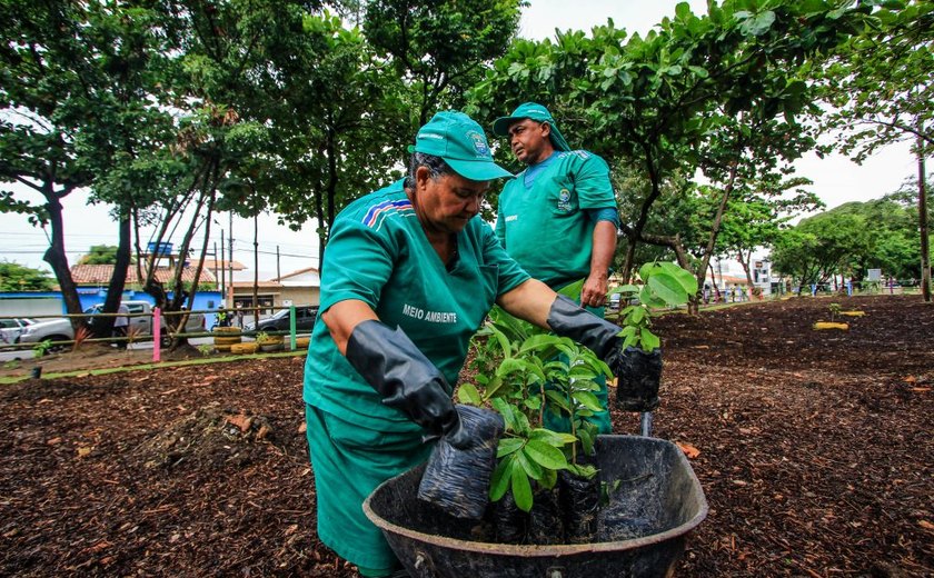Prefeitura amplia serviços de limpeza e arborização em Maceió