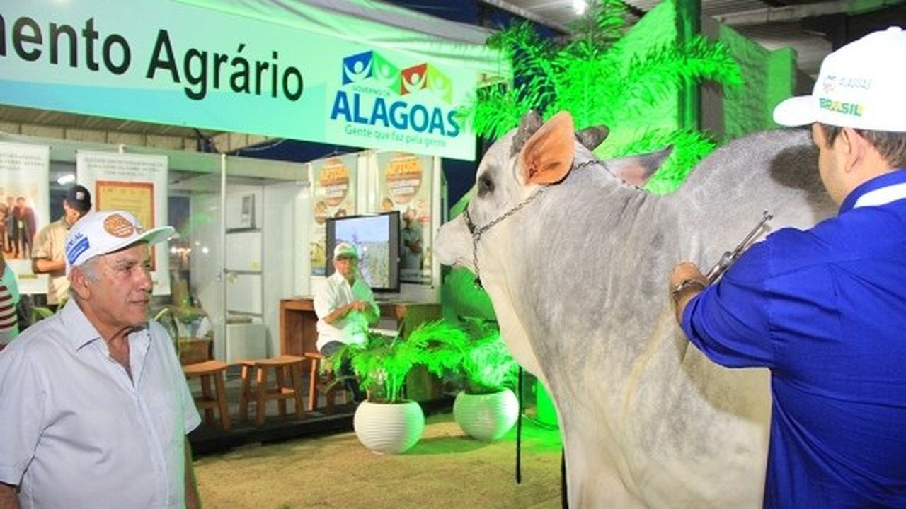 Campanha de vacinação contra febre aftosa já foi iniciada