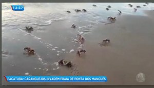 Caranguejos