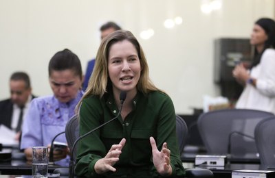 ALE aprova lei proibindo fogos de artifício com estampido; "Dia que entra para a história", comemora Cibele Moura