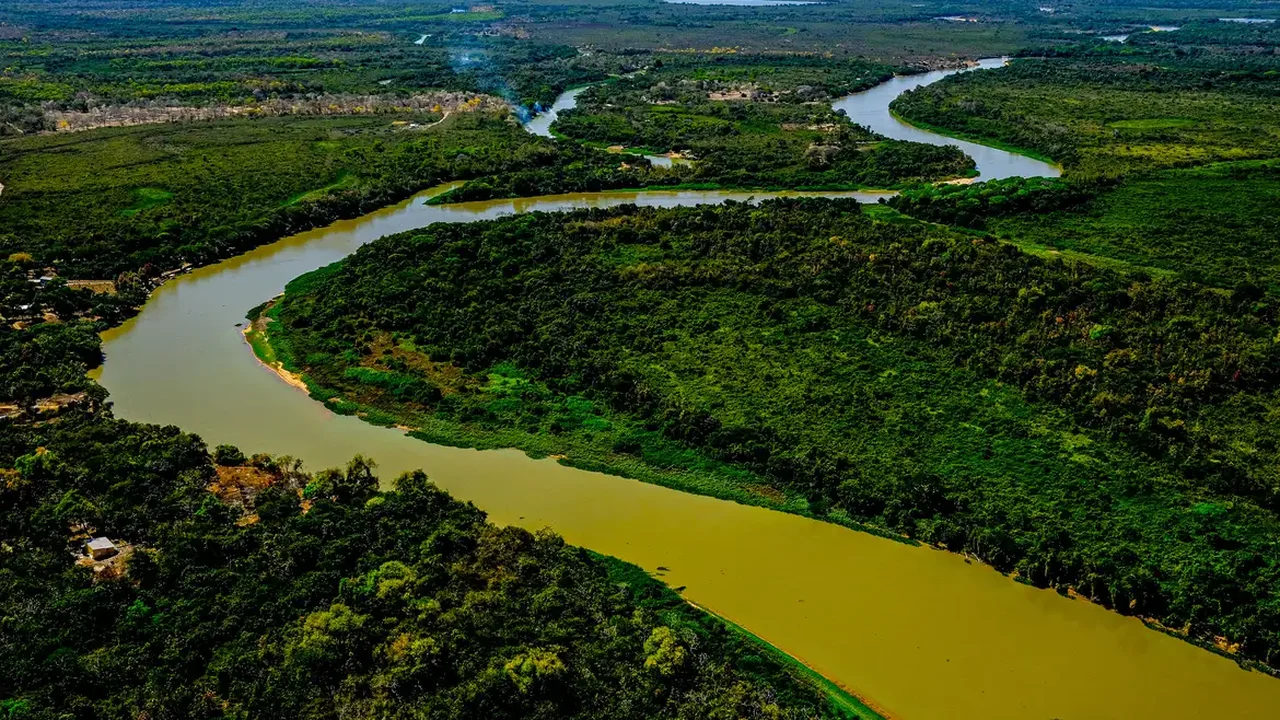 O que será do Pantanal?