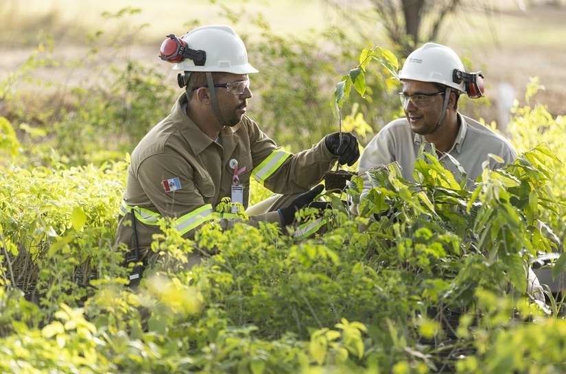 Dia da Caatinga: MVV aumenta área de reserva preservada para 770 campos de futebol
